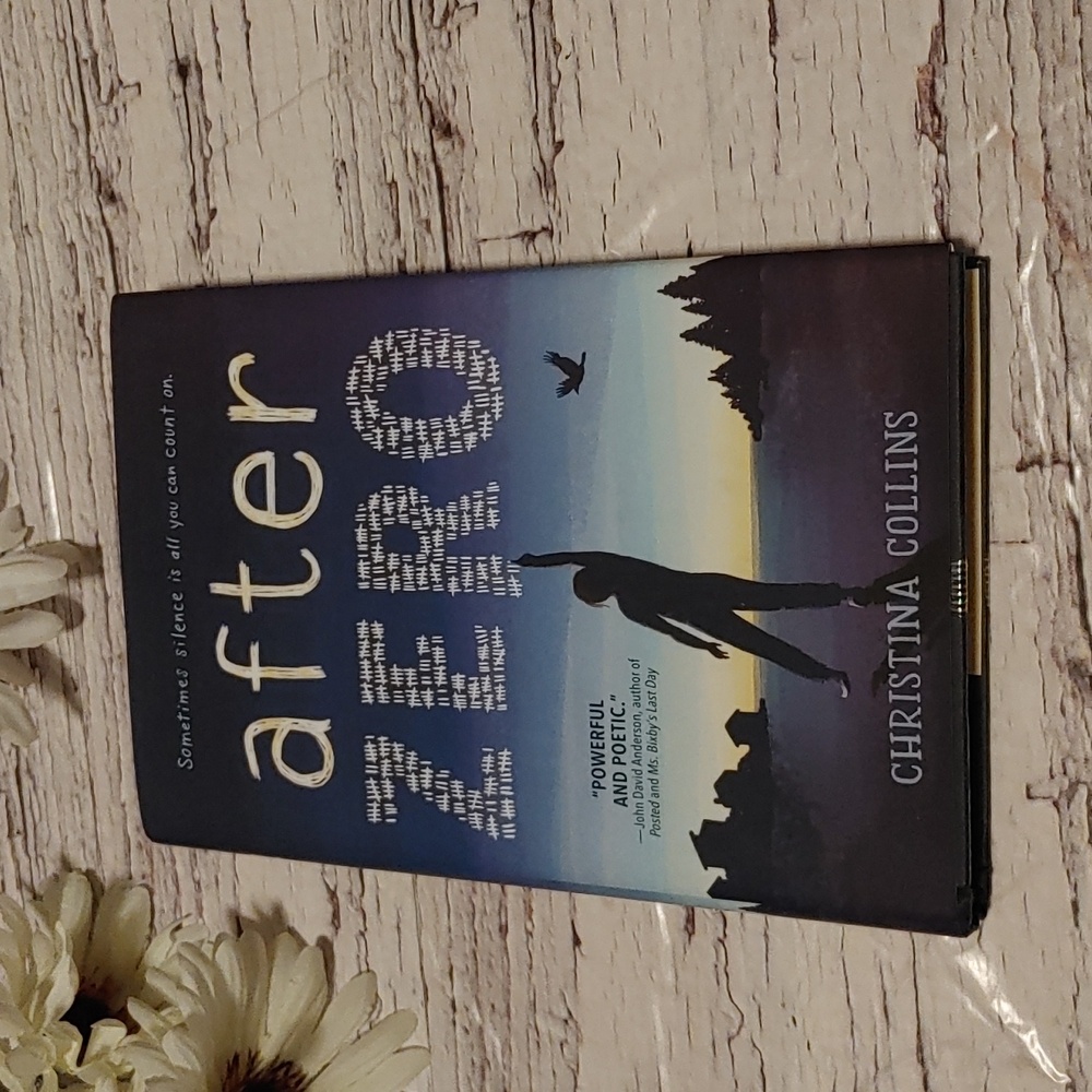 After Zero by Christina Collins Children novel book